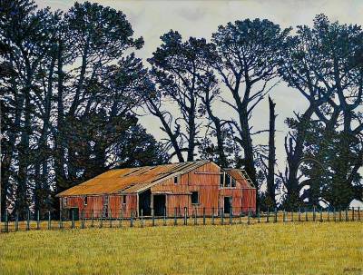 "'The Old Shed'" - Acrylic on Board - Painting by John Ruth, a painter from Hawke's Bay, New Zealand.