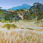 Gouland Downs - Heaphy Track