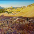 Te Mata Landscape